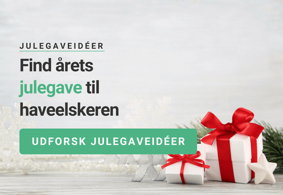 Julegaveidéer Julegaveidéer